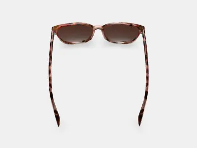 Esme Sunglasses in Sesame Tortoise 3D model