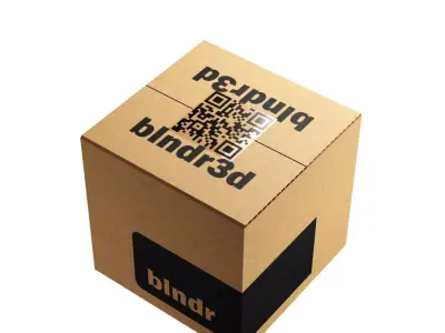 Cardboard Box Low-poly 3D model 2