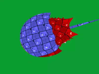 Horseshoe Crab Free 3D model