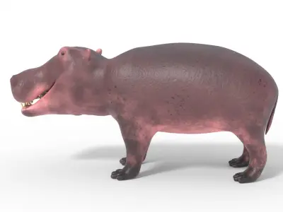 3D Hippopotamus Model Low-poly 3D model