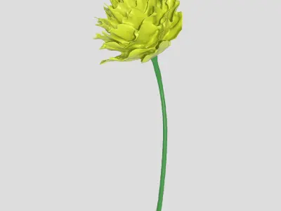 Flower Free 3D model
