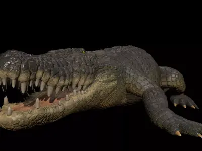 High-Quality Crocodile 3D Model Low Poly  4K PBR Maps Low-poly 3D model