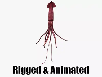 animated squid 3D model