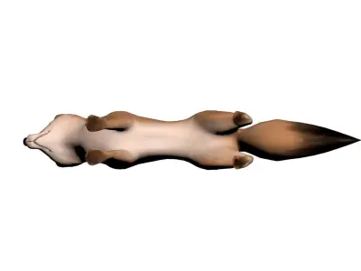 Fox model 3D model