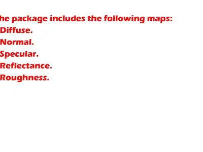 Wool Military-Style Beret Package 3D model