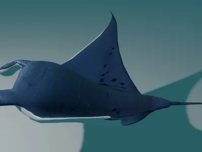 Manta Ray 3D model