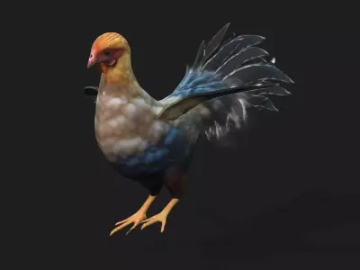 Chicken A1 Free low-poly 3D model
