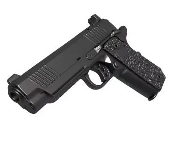 1911 TRP 3D print model