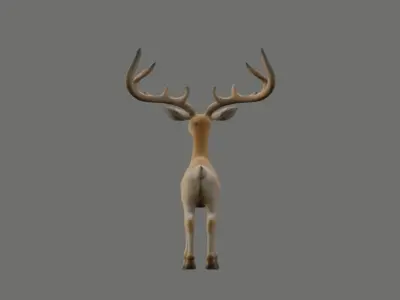 Deeer 3D model purchase