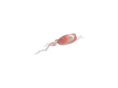 European Flying Squid Low-poly 3D model