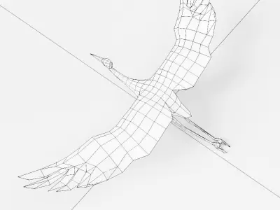 Crane bird 3d model  Low-poly 3D model purchase