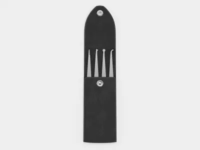 Lockpicks Set with Leather Case - Tool Kit Rigged  3D model