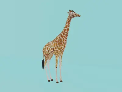 Giraffe Low-poly 3D model buy