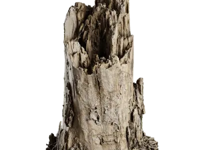  Medium Broken Decaying Stump Model 
