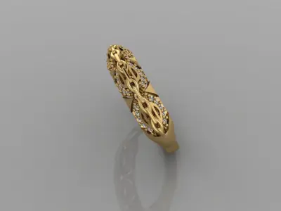 Ring chin  3D print model