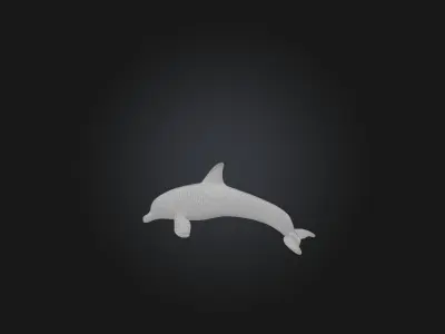 Realistic Dolphin Model Low-poly 3D model
