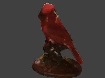 Bird topology  3D model