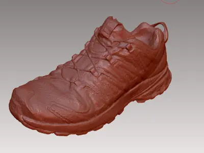 Salomon XA PRO 3D V8 shoe 3D model