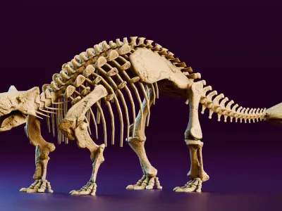 Realistic Ancient Reptilians Fossil Low-poly 3D model
