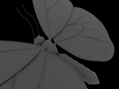 Butterfly 3d model with wings Low-poly 3D model