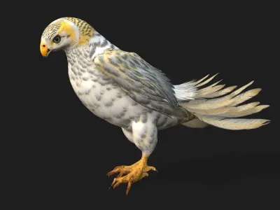 Kestrel B7 3D model