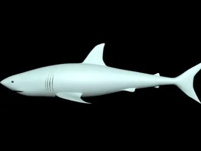  sea shark  3D model