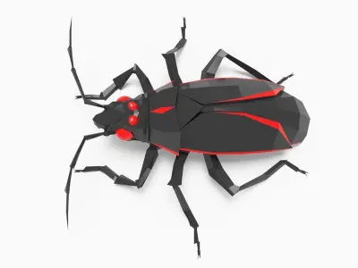 Bug low poly Low-poly 3D model
