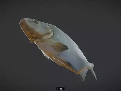 Dried Fish Low-poly 3D model