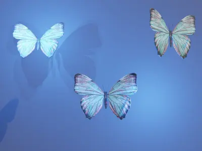 Low Poly Butterfly Low-poly 3D model