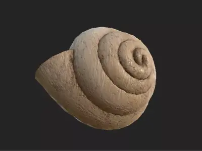 shell 3D model
