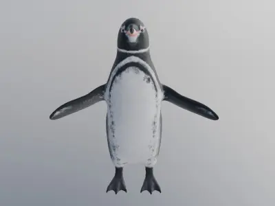 penguin 3D model 2