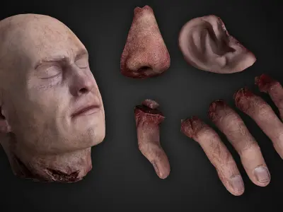 Human Remains  Rigged  Low-poly 3D model