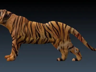 Tiger Low-poly 3D model purchase