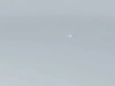 Avro Avian Sports Free 3D model