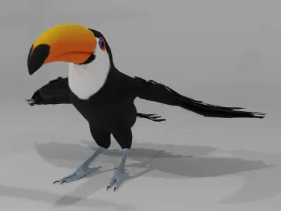 Rainforest Animals 3D model