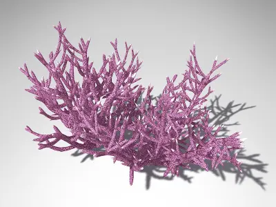XfrogPlants Birds Nest Coral 3D model