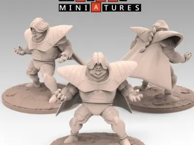 Term 3 - Namek Saga Part 1 - Dragon Ball Miniatures 3D print model