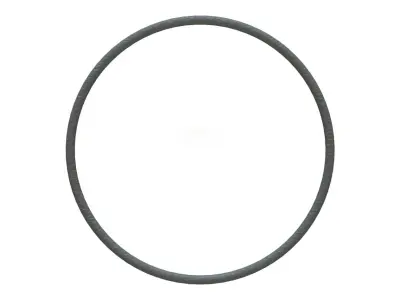 O Ring Vedabras 12866 3D model