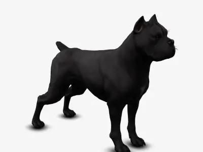 dog canne corso Low-poly 3D model