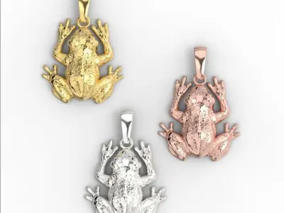 180207 P Frog Toad  3D print model