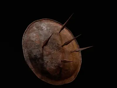 Undead Shield Low-poly 3D model