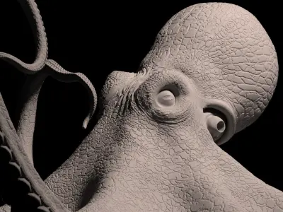 Octopus Caribbean Reef 3D model