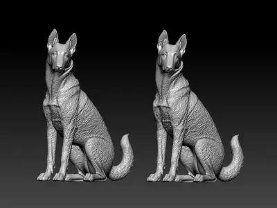 Malinois Sheepdog - Belgian Shepherd model - 3D print 3D print model