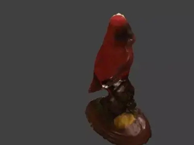 Bird topology  3D model
