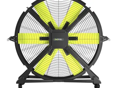 FS300  DHZ 3D model