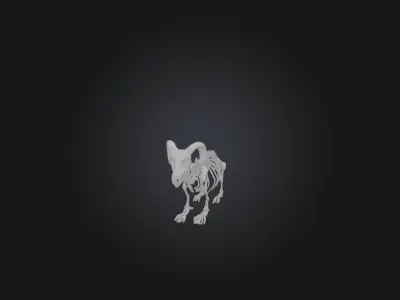 Realistic Sheep Skeleton Model Low-poly 3D model