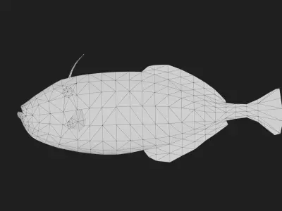 Filefish Low-poly 3D model 2