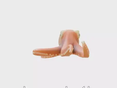 Dumbo Octopus Model with Ear-like Fins and Soft Body Low-poly 3D model