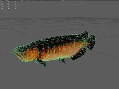 Arowana Low-poly 3D model get