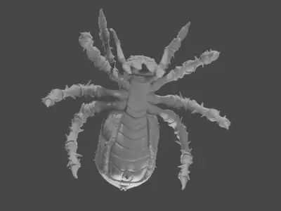 Spider 3D model 32
